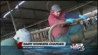 Charges Filed in Dairy Farm Animal Abuse Case