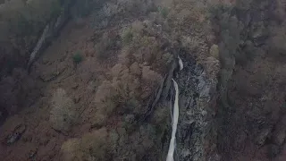 Drone attacked by bird of prey. Птица напала на дрон