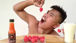 Mukbang 14 Carolina Reapers in 1 Minute (World Hottest Chili) Breaking the record Boy Tapang !?🌶️🔥🥵