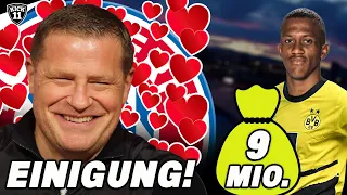 HAMMER-ZUSAGE für BAYERN! WILDER BVB-TRANSFER EINGETÜTET? | KickNews