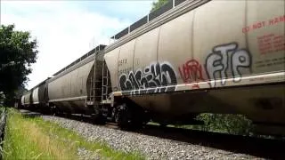 Union Pacific Train in Columbia River Gorge, Oregon, 6/22/14