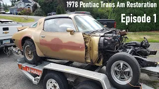 1978 Pontiac Firebird Trans Am Y88 Restoration (Episode 1)