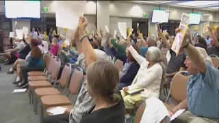 Encinitas residents rail against 5G cell towers