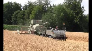 Unimog 411 am Claas Junior Automatic Mähdrescher