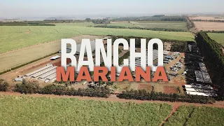 Rancho Mariana #3tambores #barrelracing #cavalo #rodeio