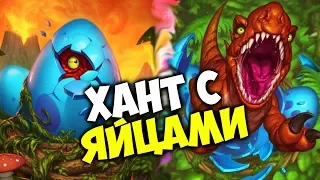 ЯЙЦЕ ХАНТ НА ПРЕДСМЕРТНЫХ ХРИПАХ. Новая колода покоряющая ладдер Hearthstone Ведьмин Лес