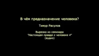 В чём предназначение человека? (Тимур Расулов)