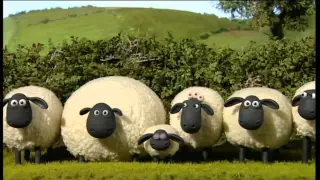 Shaun the Sheep  13