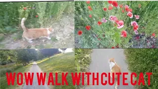 Morning walk with so cute adorable cat | Birds chirping | Morning walk vlog