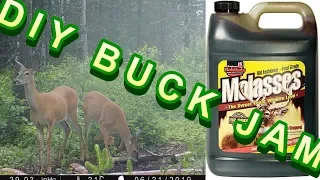 DIY $2.00 Buck Jam Molasses Deer Attractant