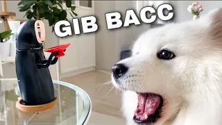 Ghost Steals My Dog's Food 😱