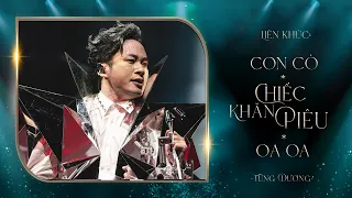 LK Con Cò & Chiếc Khăn Piêu & Oa Oa - Tùng Dương (Liveshow Concert 20 Năm Ca Hát)