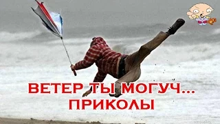 Ветер ты могуч, ты гоняешь ... Подборка приколов с ветром