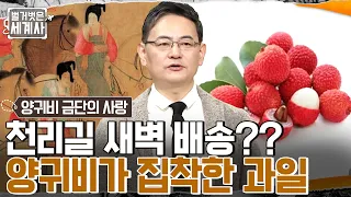 '귀비는~💕 리치가 먹구 싶어!!' 그녀만을 위한 그 시절 특급 배송?? 권력을 손에 쥔 양귀비 #벌거벗은세계사 EP.83 | tvN 230124 방송