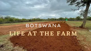 Living at the farm #botswana #tourism#farming