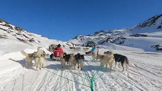 Avannaata qimussersua 2023 nr 2 dogsled race greenland