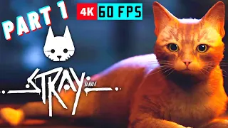 STRAY PC 4K 60FPS Walkthrough Gameplay Part 1 - Full Game, No Commentary