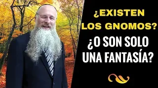 ¿Existen los Gnomos? ¿O son solo una fantasía?