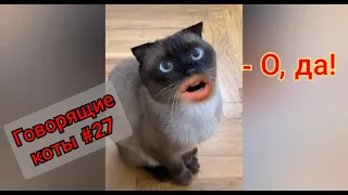 Говорящие коты! Лучшая подборка #27