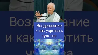 Воздержание и как укротить чувства - А.Г. Хакимов