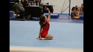 Level 3 gymnast floor routine 2022