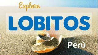 LOBITOS - PERU' | THE BEST SURF IN SOUTH AMERICA! 🌊