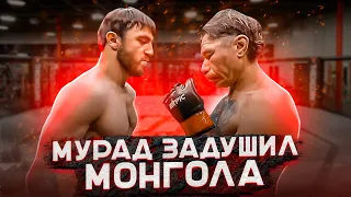 Бой Мурад vs Монгол  Полный бой  Epic Fighting Championship