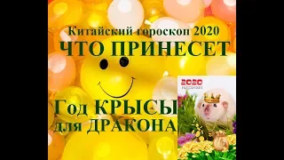 Год КРЫСЫ для ДРАКОНА. Китайский гороскоп 2020. Таропрогноз.