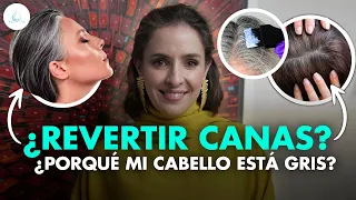 🔴 CUIDADOS del CABELLO ¿Puedo REVERTIR las CANAS? @drapilarochoa - Dermatologa