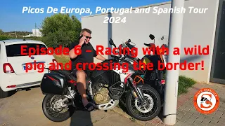 Episode 6:  2024 tour racing a wild pig and crossing the border