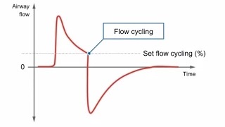 e-Learning: Essential variables and  mechanical breath types