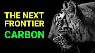 The Emerging Frontier - Carbon Markets