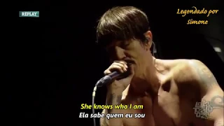 Under the Bridge - Red Hot Chili Peppers 2016 Tradução e Lyrics