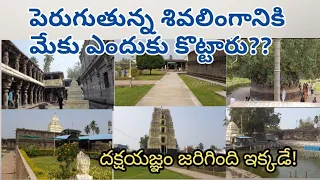 Draksharamam Bheemeswara swami | Manikyamba Shakthi peetham | East Godavari | vijjis world