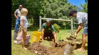 How to Grow Breadfruit ('Ulu) Trees