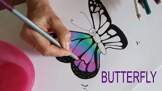 BUTTERFLY | LIVESTREAM DRAWING | draw with me | chill out session