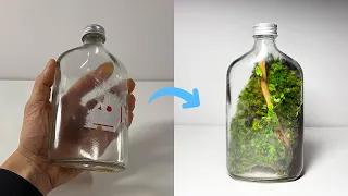 Making Moss Terrariums in Old Bottles EP.1