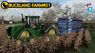 I NEED MORE MONEY|BUCKLAND FARM#21|TIMELAPSE|FARMING SIMULATOR 22|GAMEPLAY|NO COMMENTARY|FS22