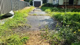 The CUSTOMER Said There Is No Way You Can SAVE This Abandoned DERELICT Property From A HUGE Fine