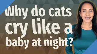 Why do cats cry like a baby at night?