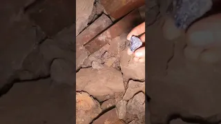Rappelling Into An Abandoned Mine