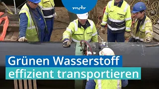 Grünen Wasserstoff transportieren - wie kann das gehen? | MDR SACHSEN-ANHALT HEUTE | MDR