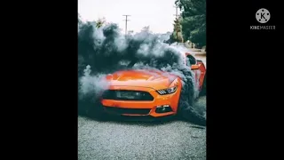 Mustang WhatsApp status