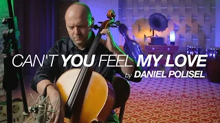 Can't You Feel my Love by Daniel Polisel