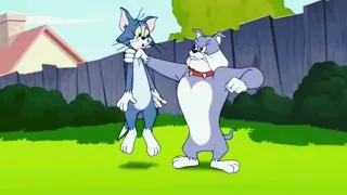 Tom và Jerry ( Bản Promax )