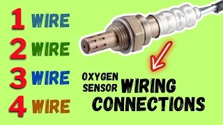 Oxygen Sensor Wiring Explained! | Azan Automotive