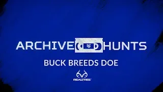 Buck breeds doe - Archive hunt