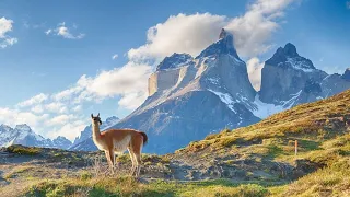 GLOBO REPORTER - EXPEDIÇÃO NA CORDILHEIRAS DOS ANDES  NA ARGENTINA - 2015