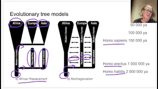 Human Evolution & Population Genetics