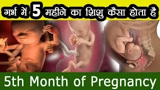 गर्भ में 5 महीने के शिशु का विकास वजन और मूवमेंट 5th Month of Pregnancy Baby Development